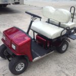cricket golf cart palm beach, cricket mini mobility golf carts